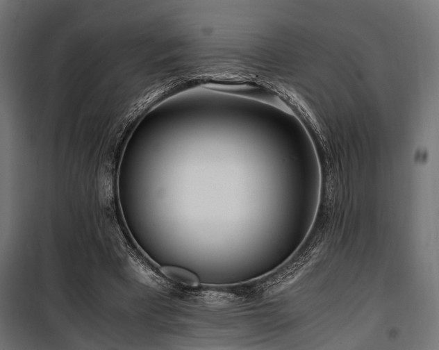 X0000100860393200806201222