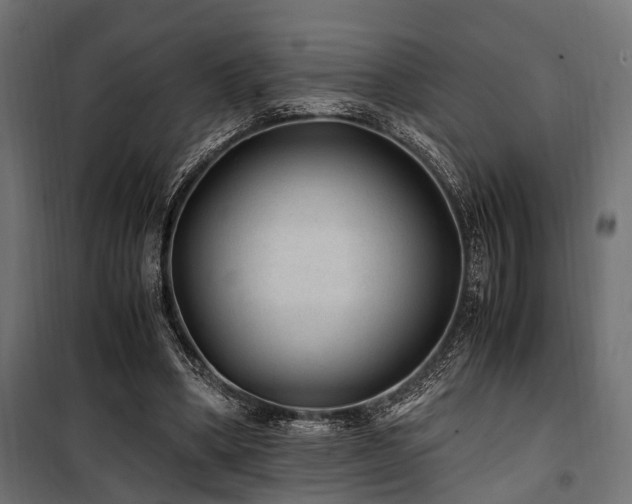 X0000100860394200806201222