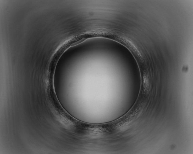 X0000100860396200806201222