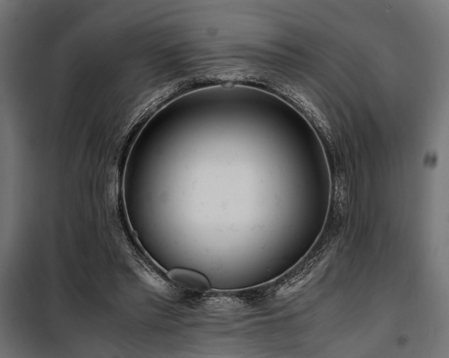 X0000100860397200806201222