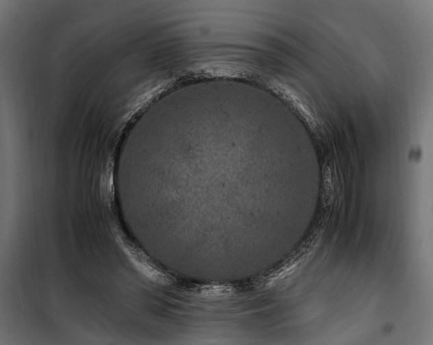 X0000100860398200806201222