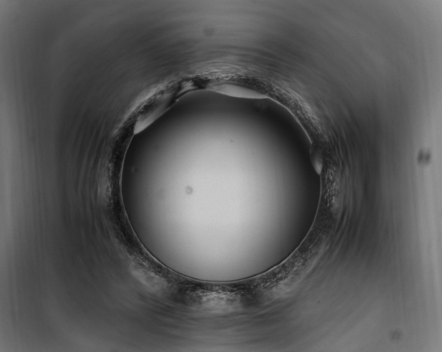 X0000100860400200806201222