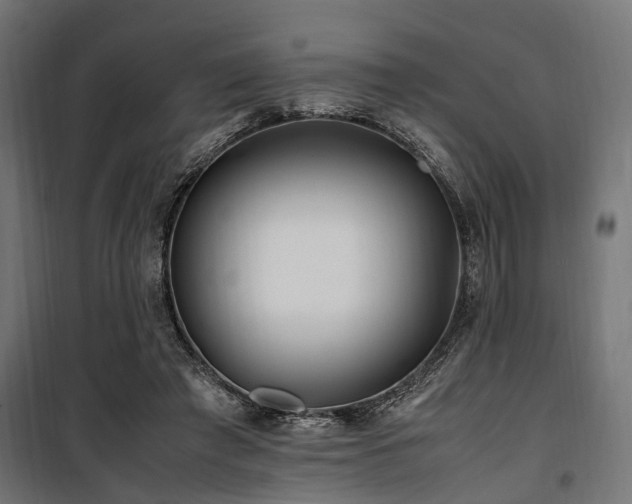 X0000100860401200806201222