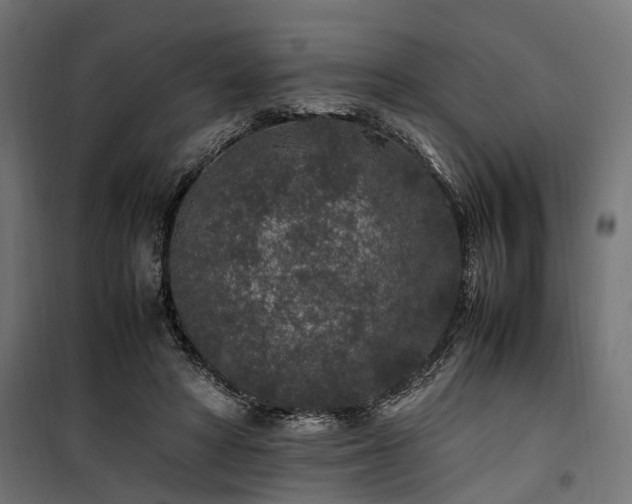 X0000100860402200806201222