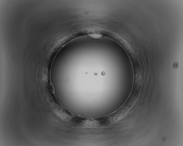 X0000100860403200806201222