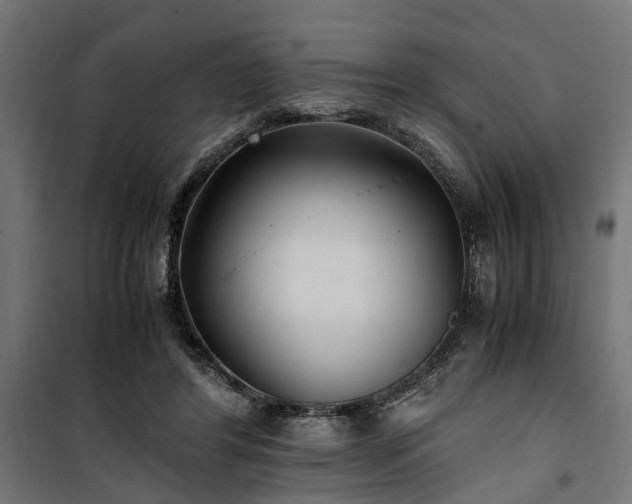 X0000100860404200806201222