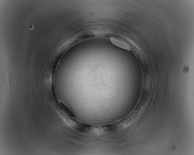 X0000100860405200806201222