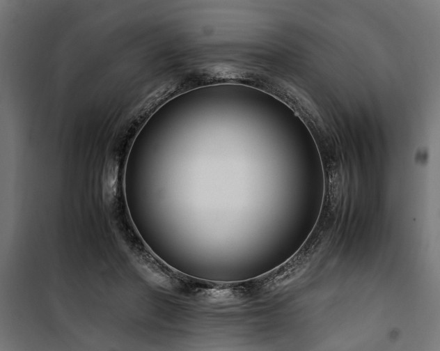 X0000100860406200806201222