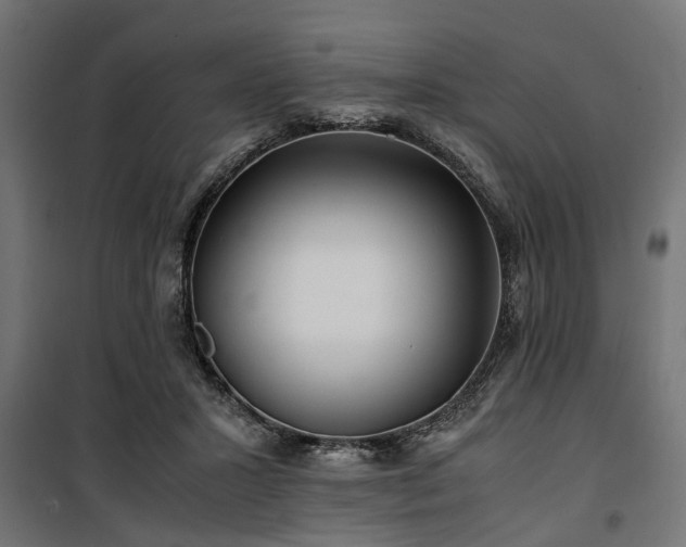 X0000100860407200806201222