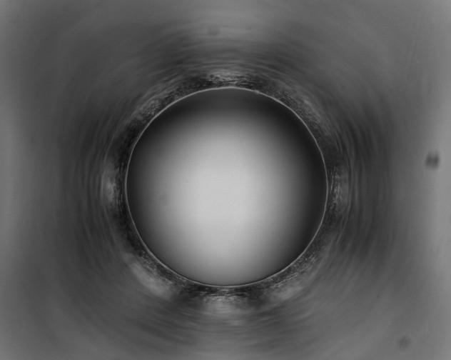 X0000100860408200806201222