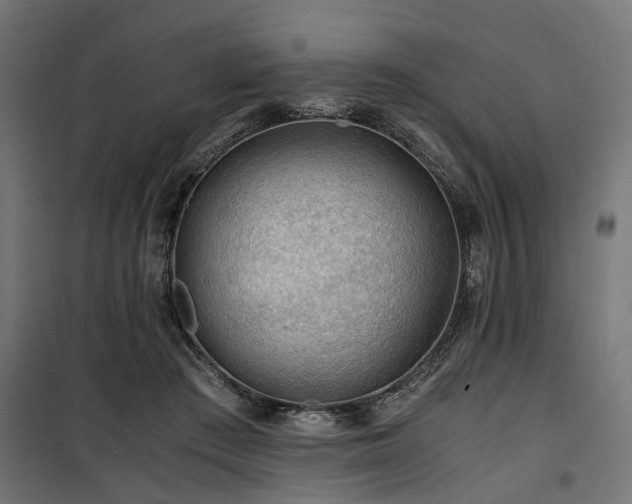 X0000100860409200806201222