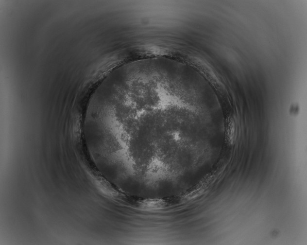 X0000100860410200806201222