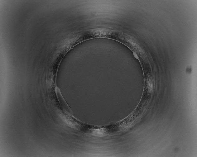 X0000100860411200806201222