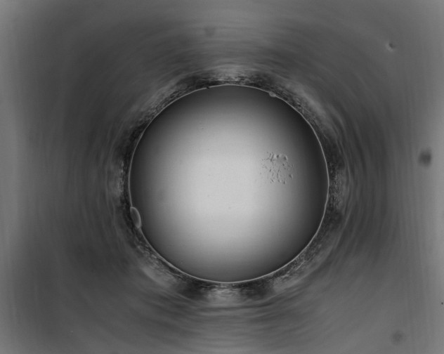 X0000100860413200806201222