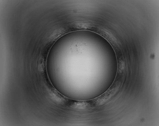 X0000100860414200806201222