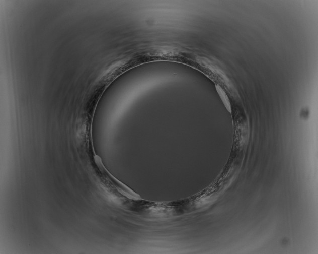 X0000100860415200806201222