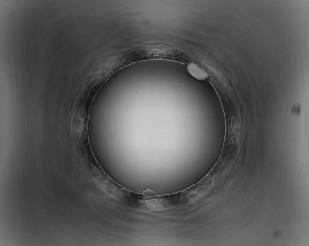 X0000100860417200806201222