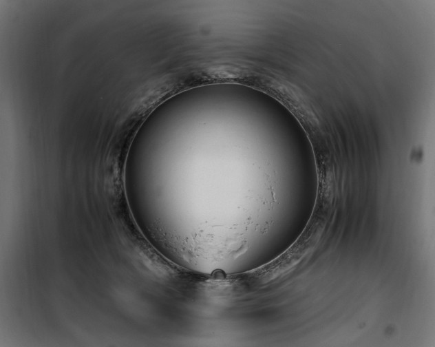 X0000100860418200806201222