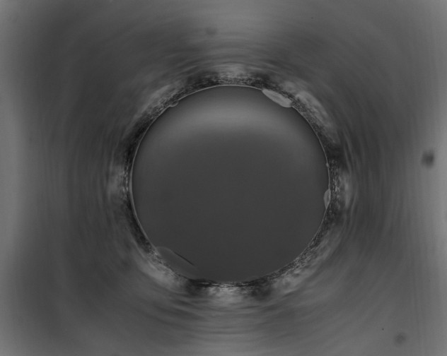 X0000100860419200806201221