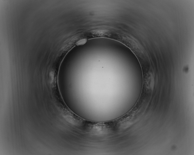 X0000100860420200806201221