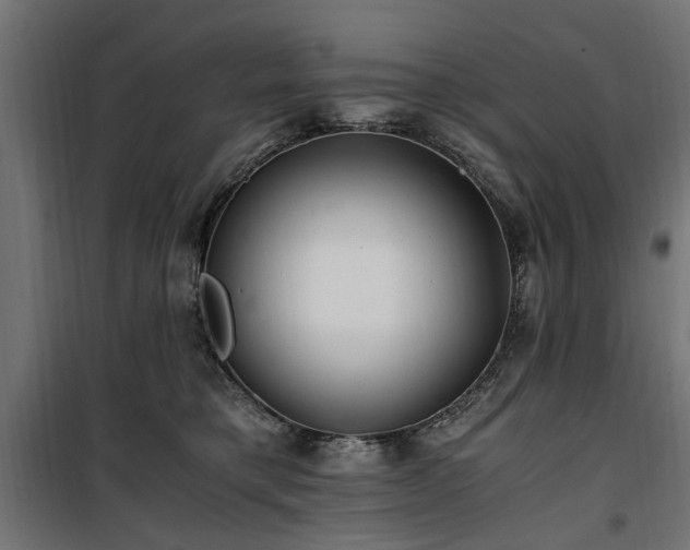 X0000100860421200806201221