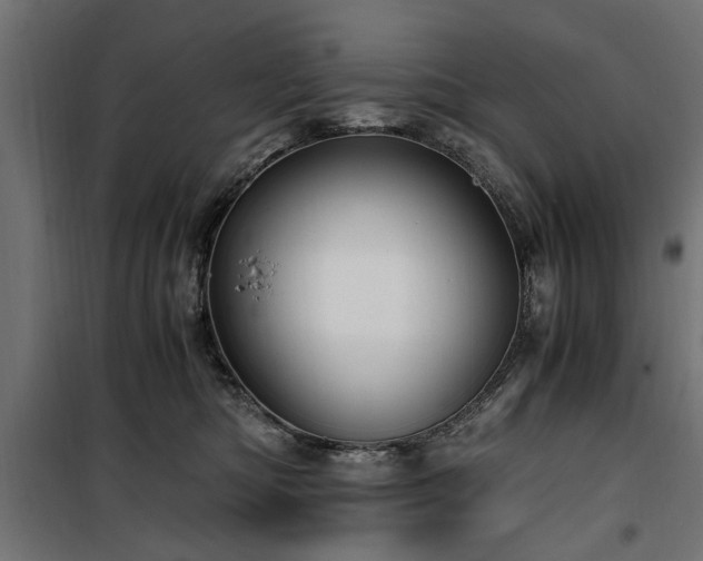 X0000100860422200806201221