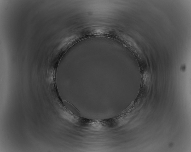 X0000100860423200806201221