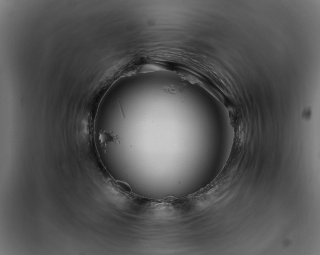 X0000100860424200806201221