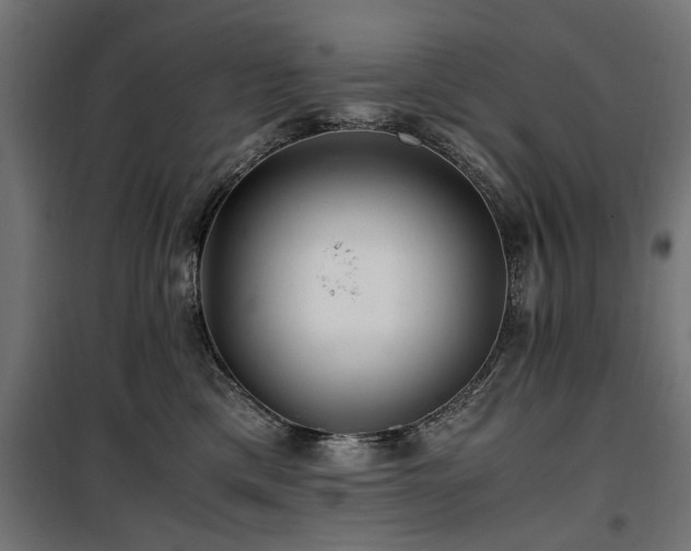 X0000100860425200806201221