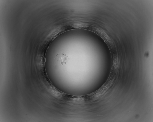 X0000100860426200806201221