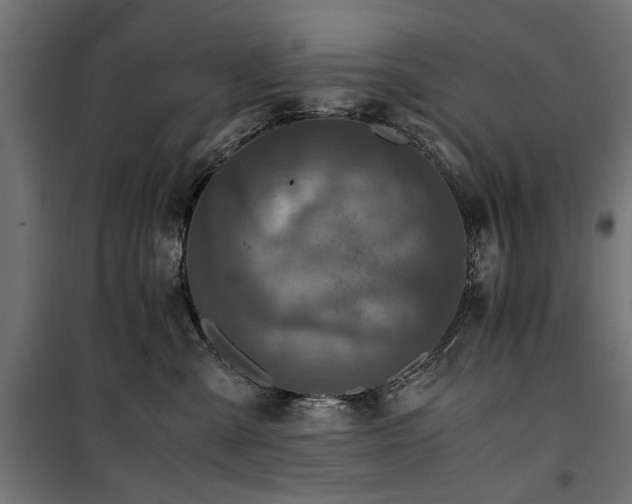 X0000100860427200806201221