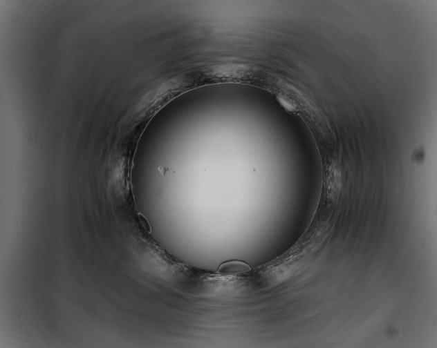 X0000100860428200806201221