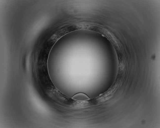 X0000100860429200806201221