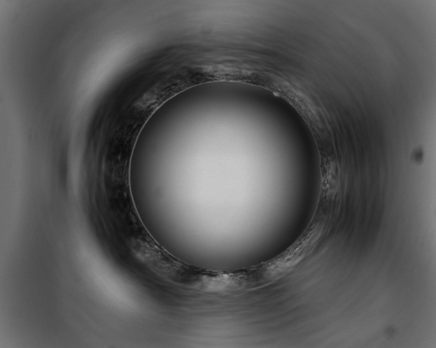 X0000100860430200806201221