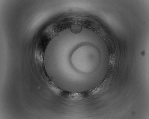 X0000100860431200806201221