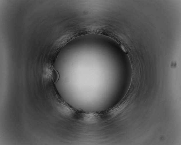 X0000100860432200806201221