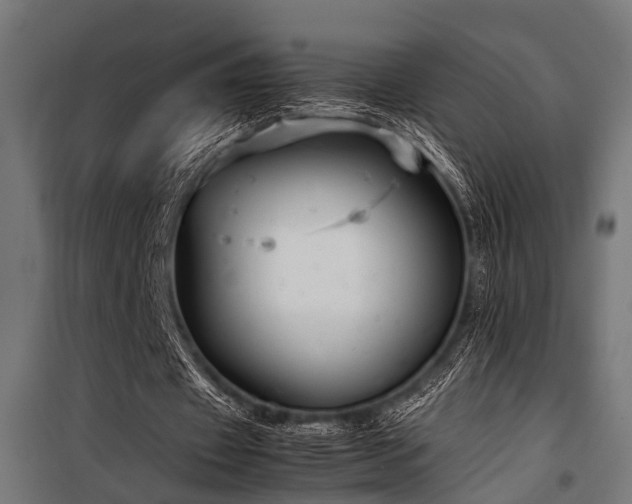 X0000100860433200806201221