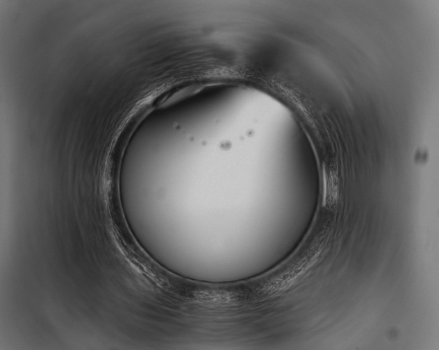 X0000100860435200806201221