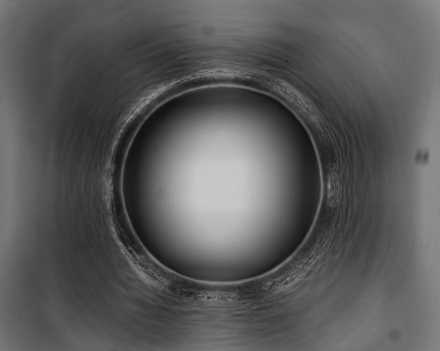 X0000100860436200806201221