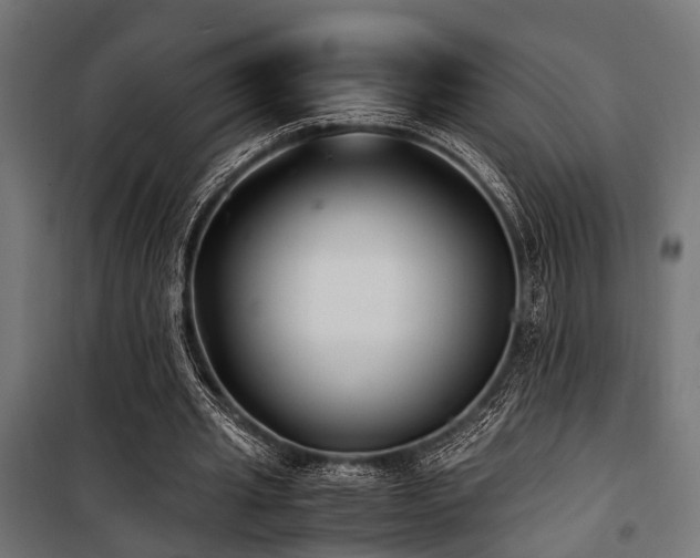 X0000100860437200806201221