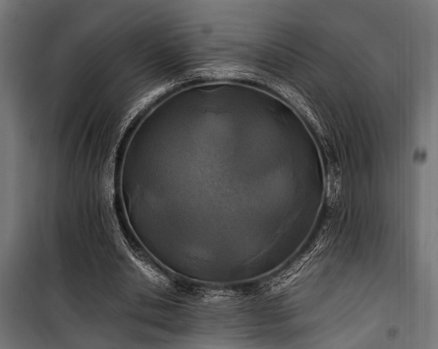 X0000100860438200806201221