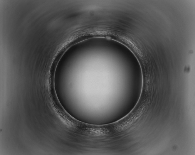 X0000100860439200806201221