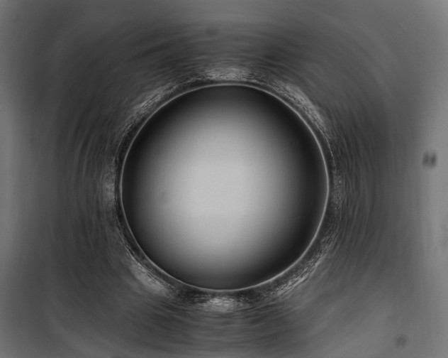 X0000100860441200806201221