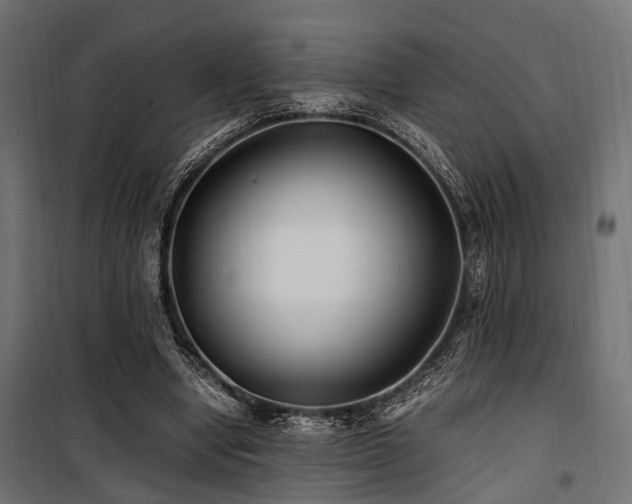 X0000100860442200806201221