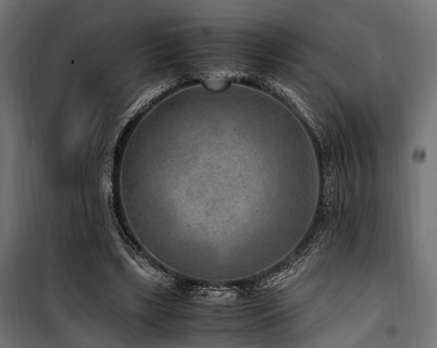 X0000100860443200806201221