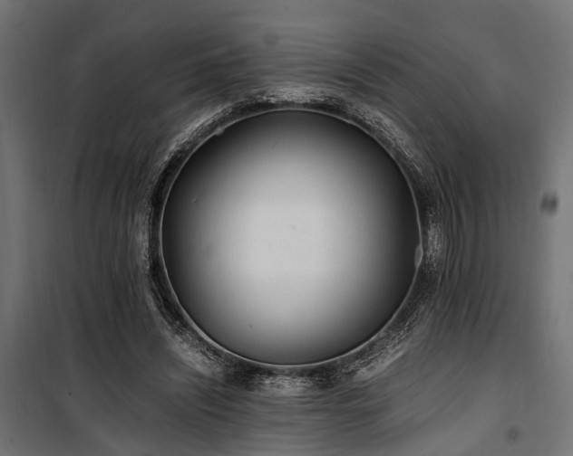 X0000100860444200806201221