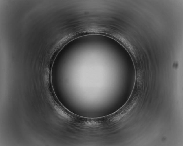 X0000100860445200806201221