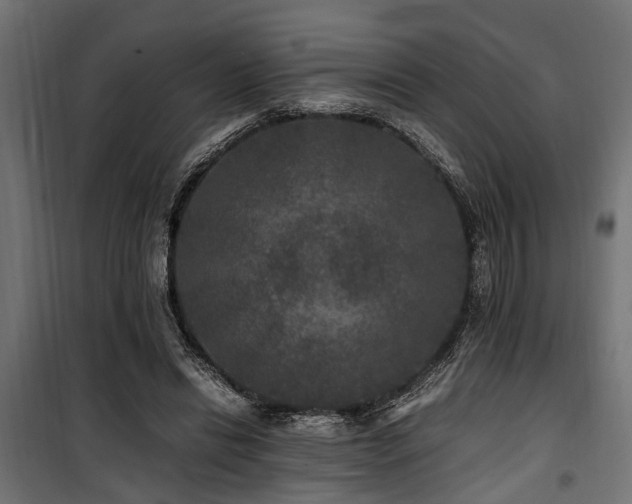 X0000100860446200806201221