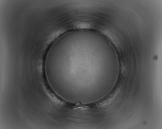 X0000100860447200806201221