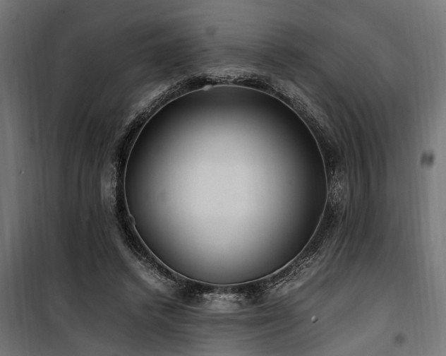 X0000100860448200806201221